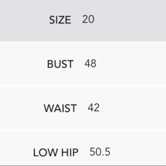 18/20W Venetian Red Point D’esprit Yoke Neck Top - Picture 8 of 10